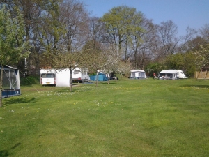 Bhet veld van minicamping De Appelhof in Midlaren